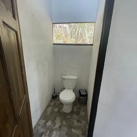 Jungle Container Escape Villa Golfito Exterior photo